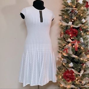 Fantastic White & Grey Fitted Vicedomini Drop-Waist mid-length Dress